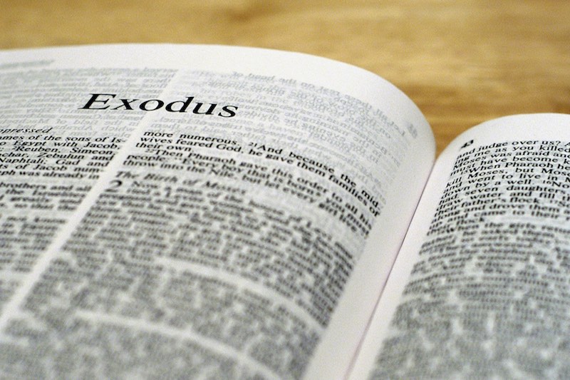 exodus-bible800x533