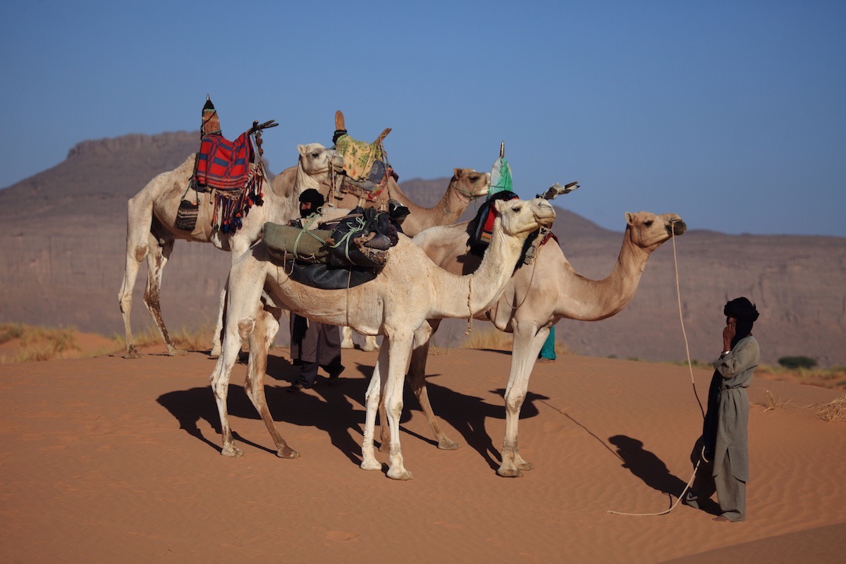 touareg-sahara1200x800