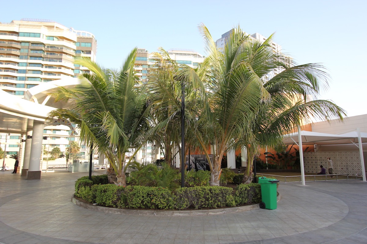 Аквариум Факих в Джидде