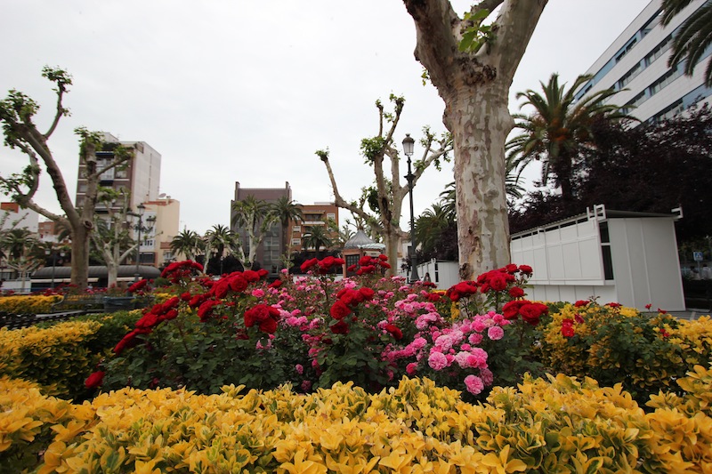 Площадь Сан-Франциско в Бадахосе