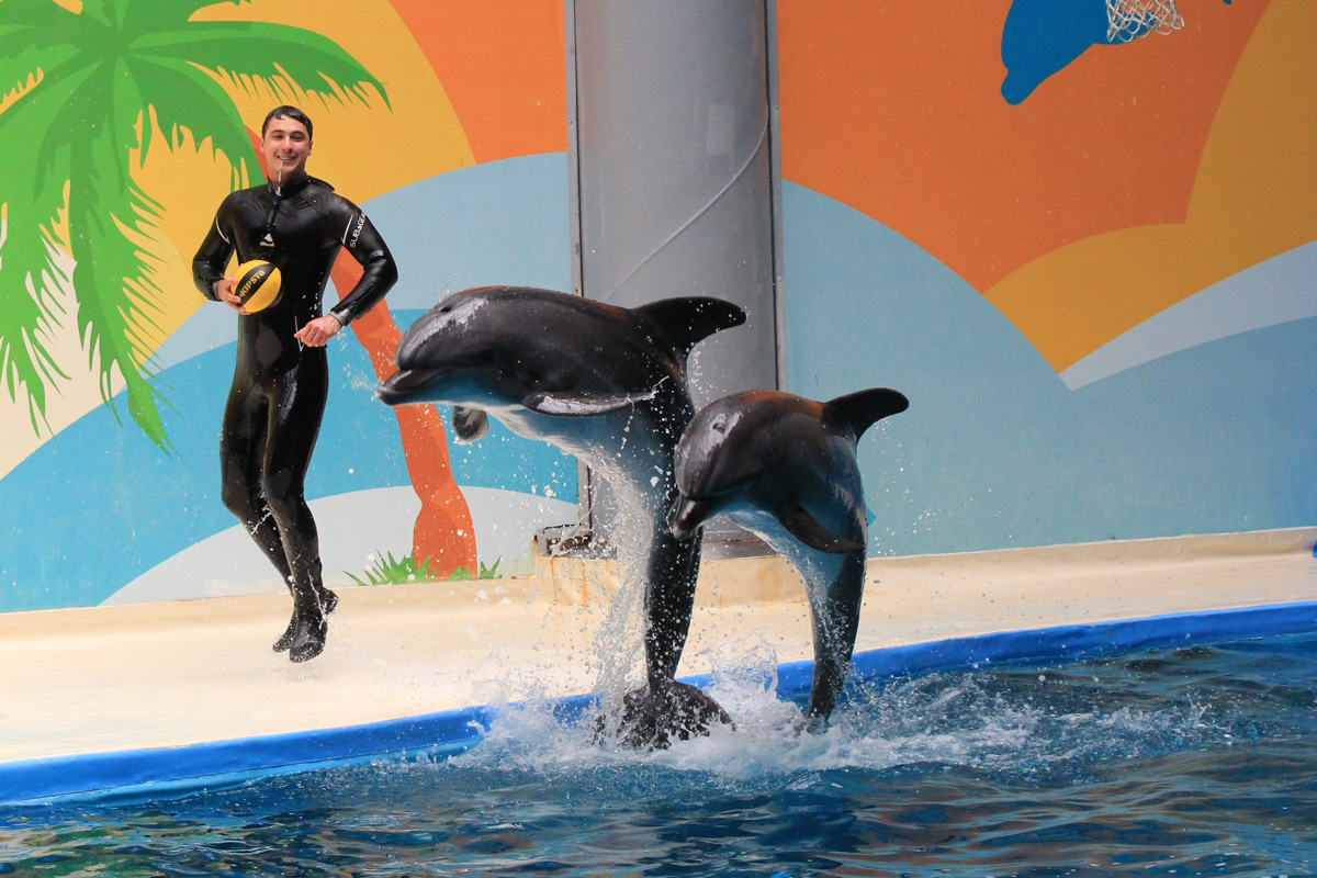 img 3 20191103 1863635771