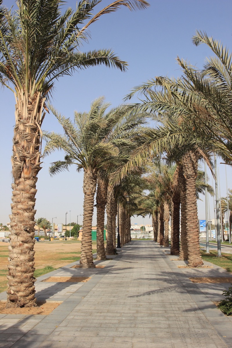 В парке Центральный Корниш