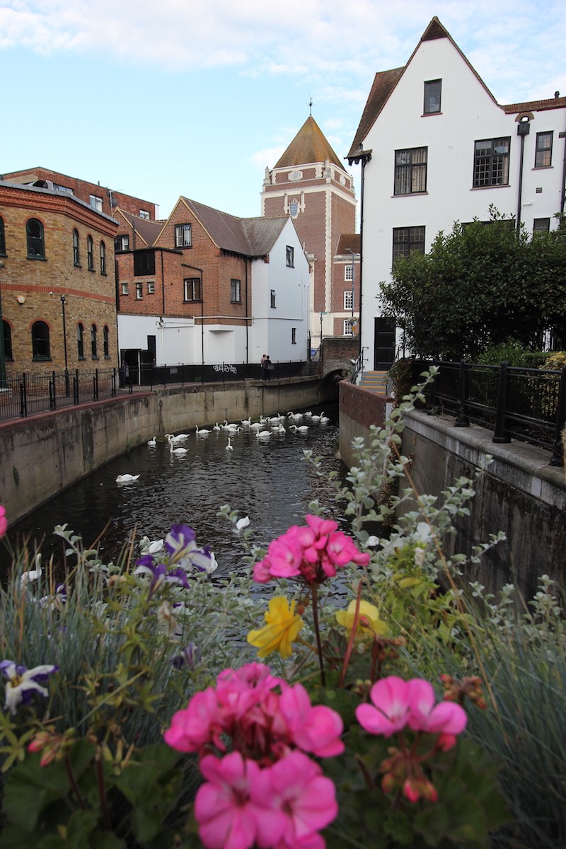 img 11 20181029 1572949355