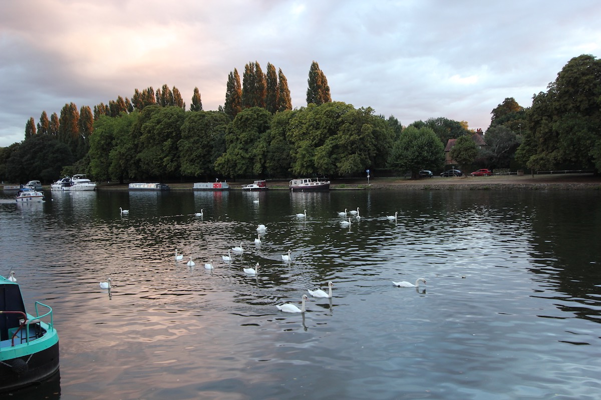 img 4 20181029 1246722564