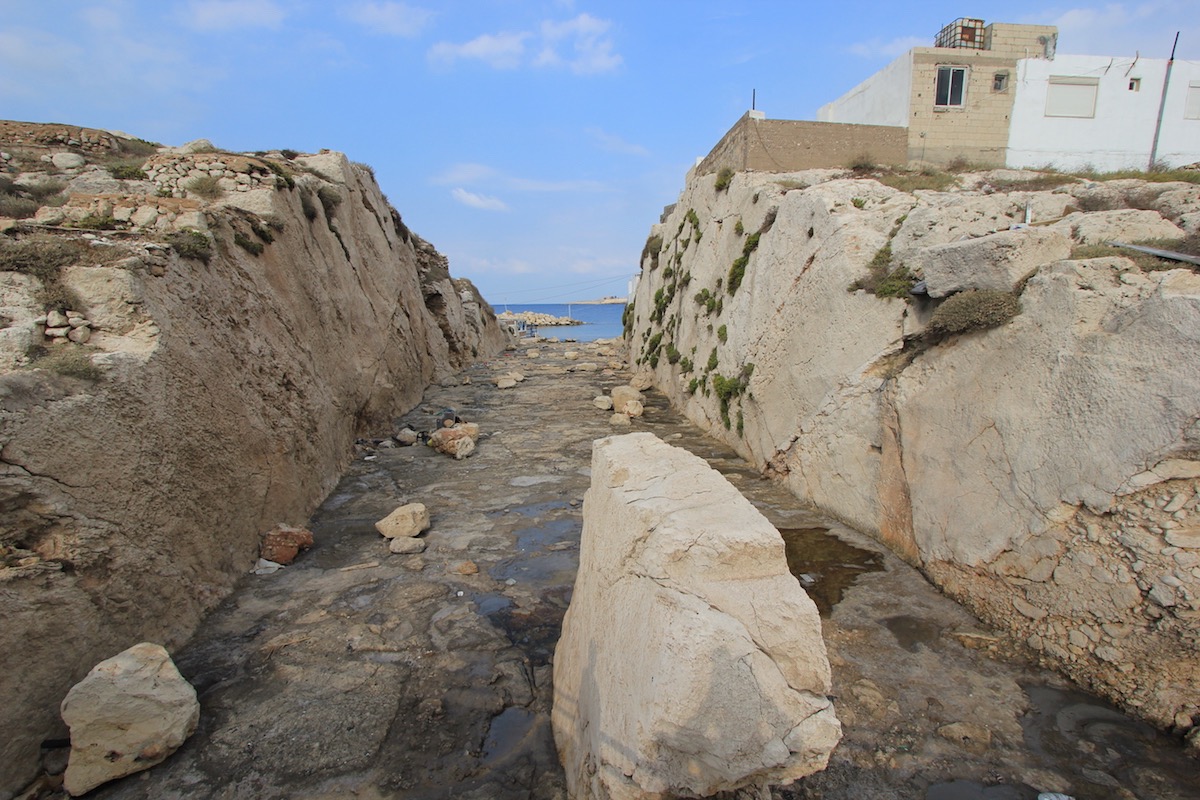 img 11 20171202 1332238235