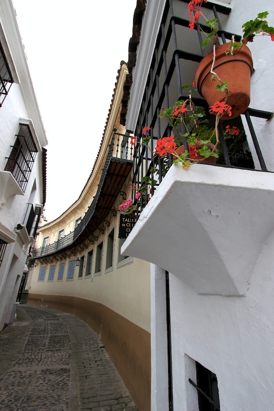 Дворец Пеньяфлор (Эсиха)