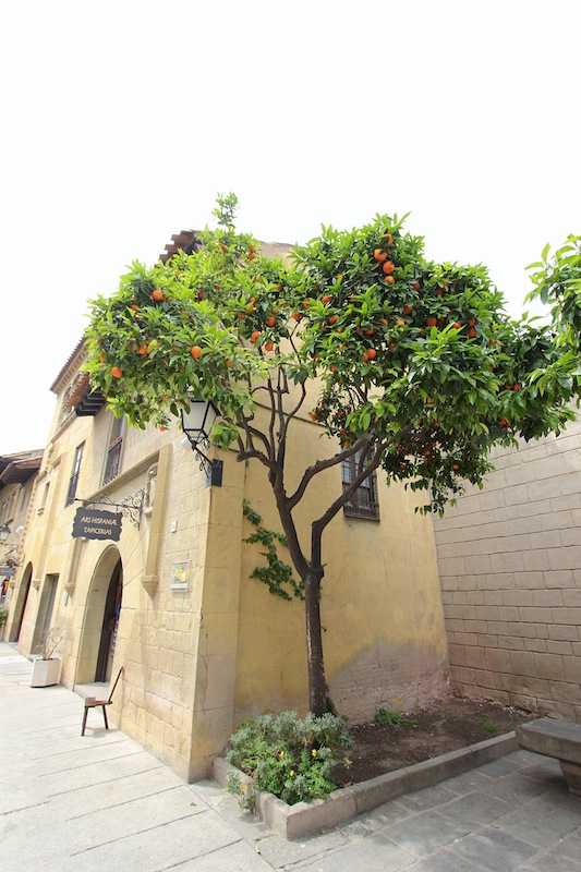 Улица Кабальерос (Торо)