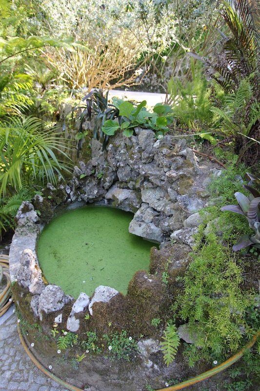 Кинта да Регалейра