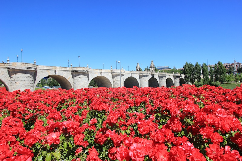 В парке Мадрид Рио