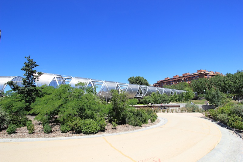 В парке Аргансуэла