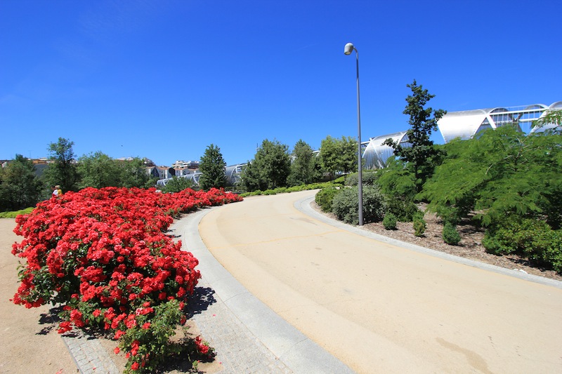 В парке Аргансуэла