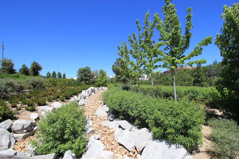 В парке Аргансуэла