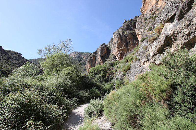 Гора Лос Каоррос