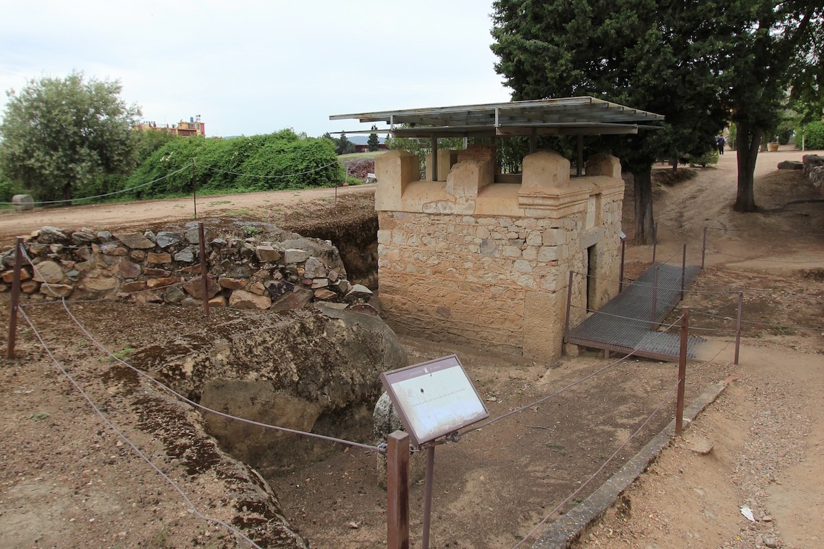 img 24 20190216 1900705560