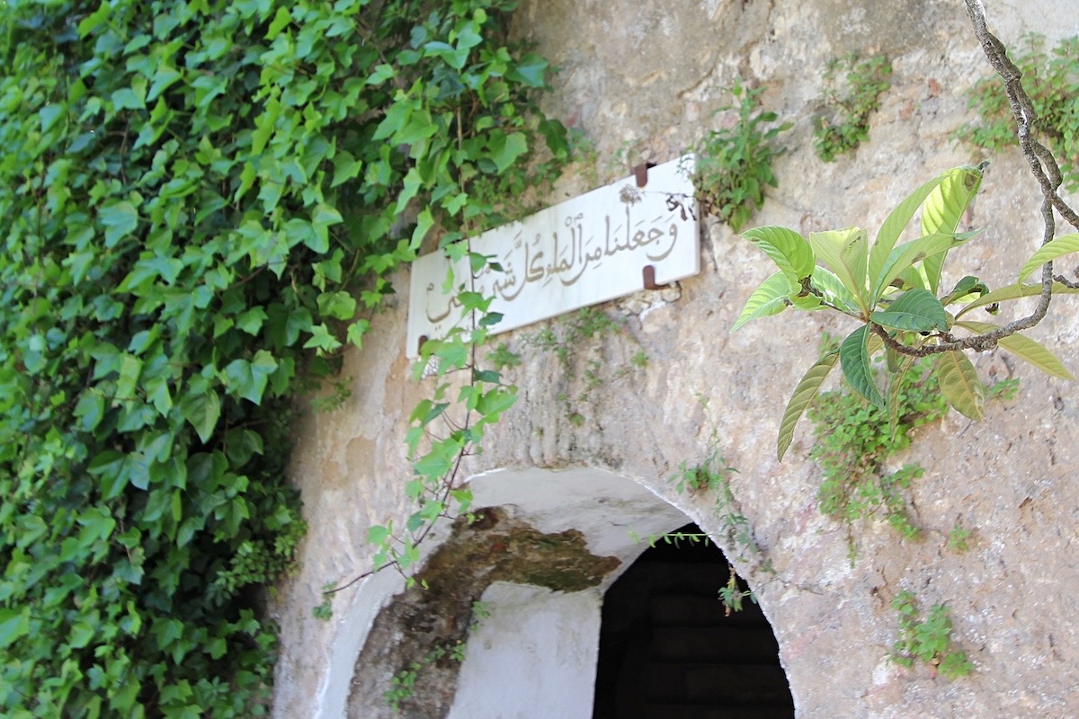 img 43 20170829 1829135999