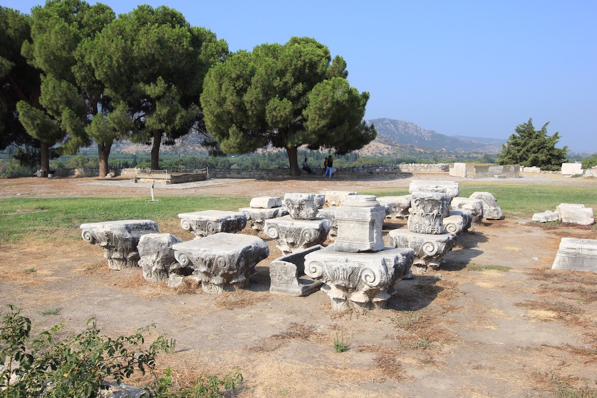 img 2 20160811 1681826192