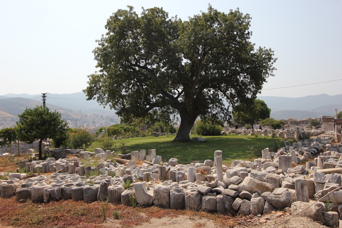 img 42 20160811 2097014623