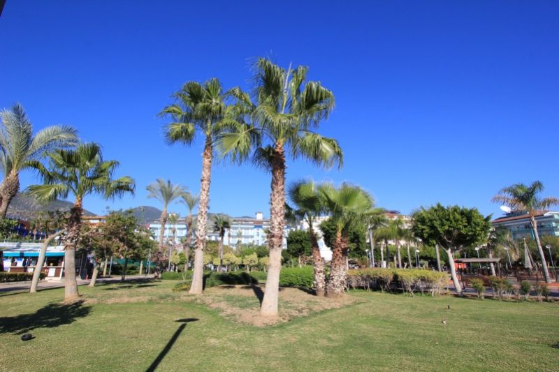 Парк Абдуррахмана Алааддиноглу в Аланье