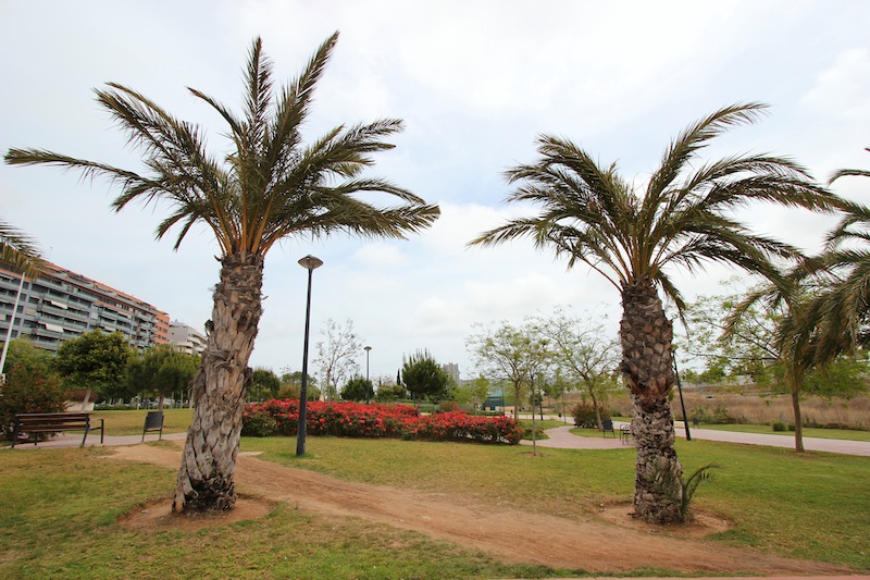 Старое русло реки Турия