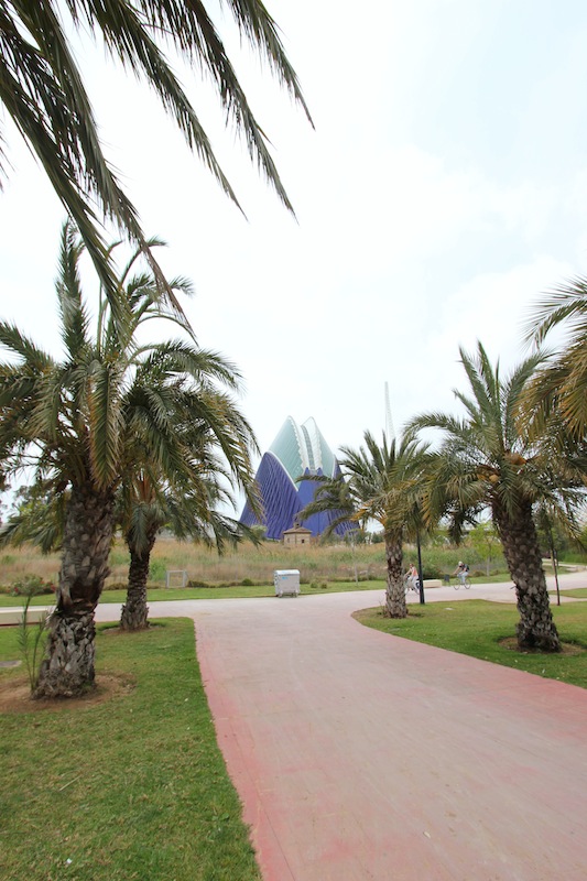 Старое русло реки Турия