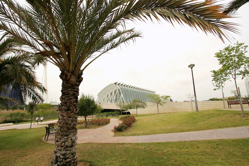 Старое русло реки Турия